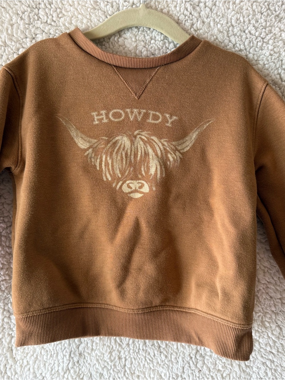 Kids 'Howdy' Graphic Sweatshirt - Brown Highland Cow Design